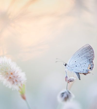 ray-hennessy-qZzJoiKHqmo-unsplash ray-hennessy-qZzJoiKHqmo-unsplash